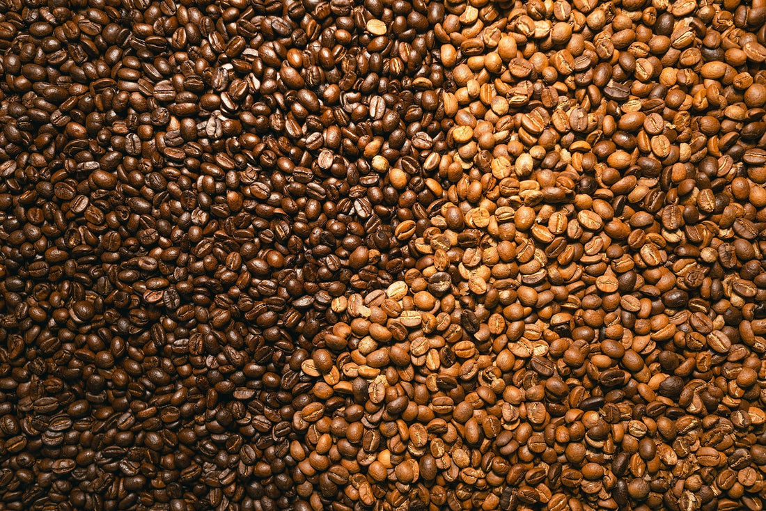 Röstgrade von Espressobohnen erklärt: dunkel, mittel, hell