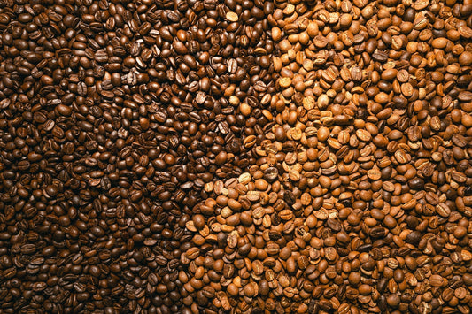 Röstgrade von Espressobohnen erklärt: dunkel, mittel, hell