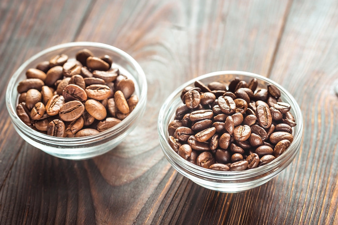 Der Unterschied zwischen Arabica und Robusta: Die Kaffeesorten und ihre Bohnen