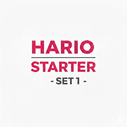Hario V60 Starter-Set 01: Kleines Porzellan-Filterset inkl. Glaskanne & Papier