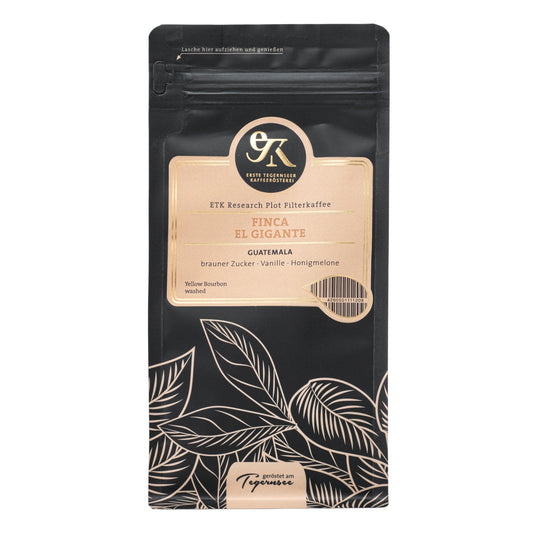 Single-Origin Filterkaffee Finca El Gigante aus Guatemala – Erste Tegernseer Kaffeerösterei Research Plot mit Aromen von braunem Zucker, Vanille und Honigmelone