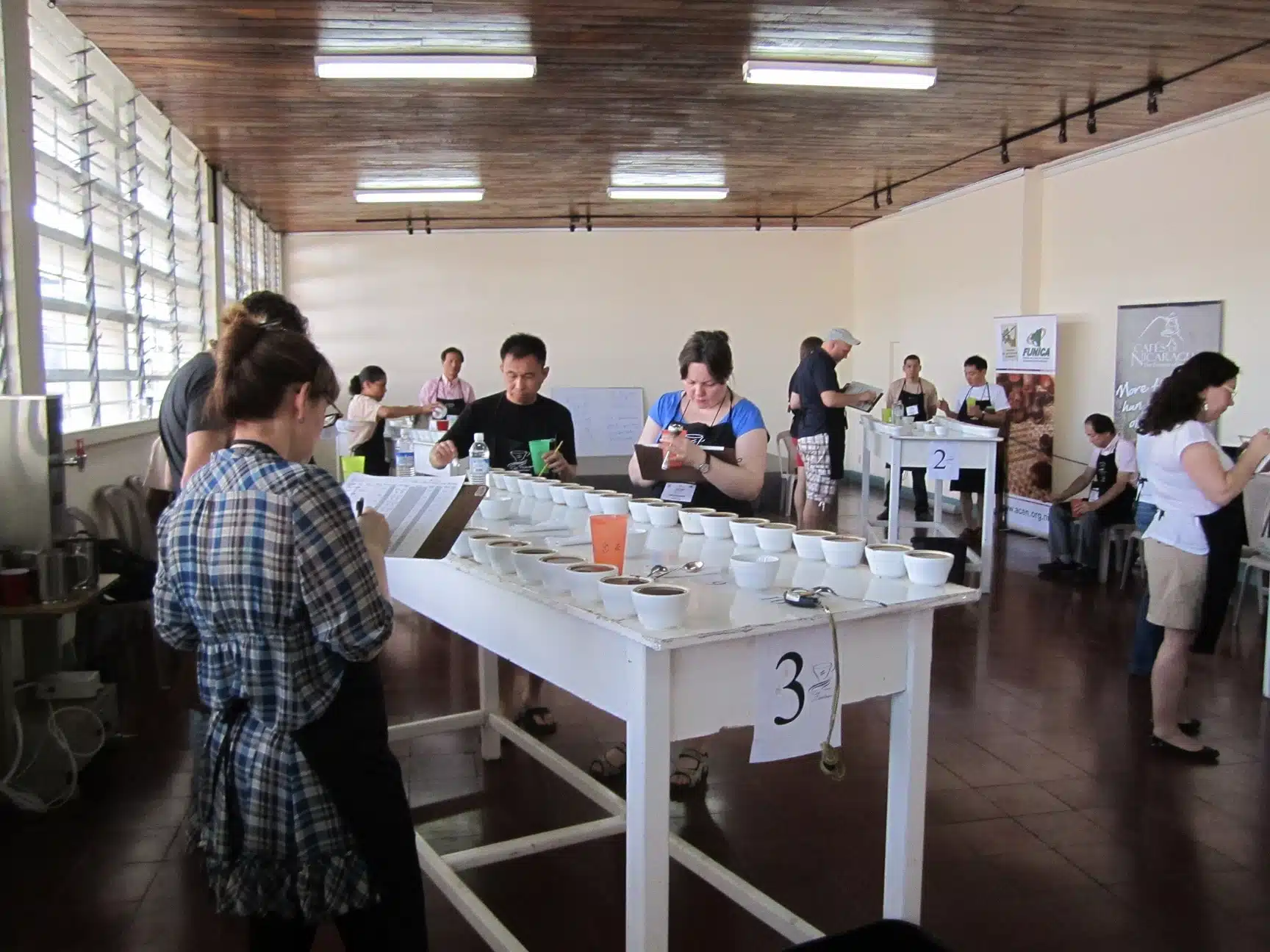 Cupping CoE 3