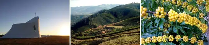 Fazenda-Rainha