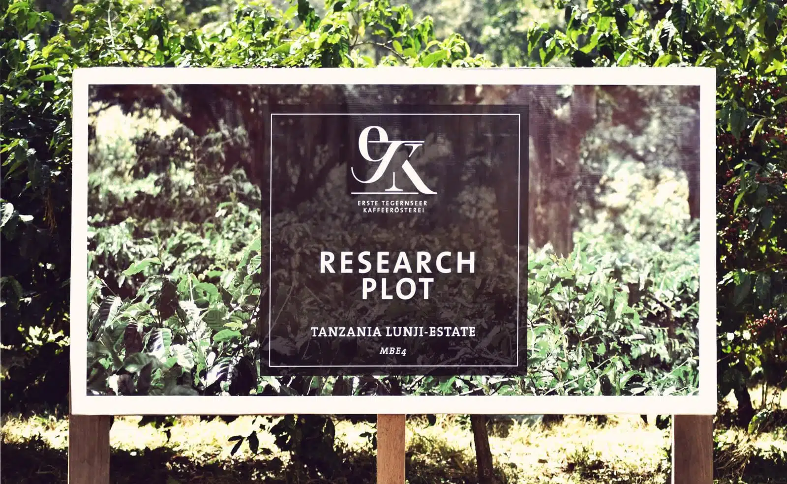 tanzania-research-plot tanzania-research-plot