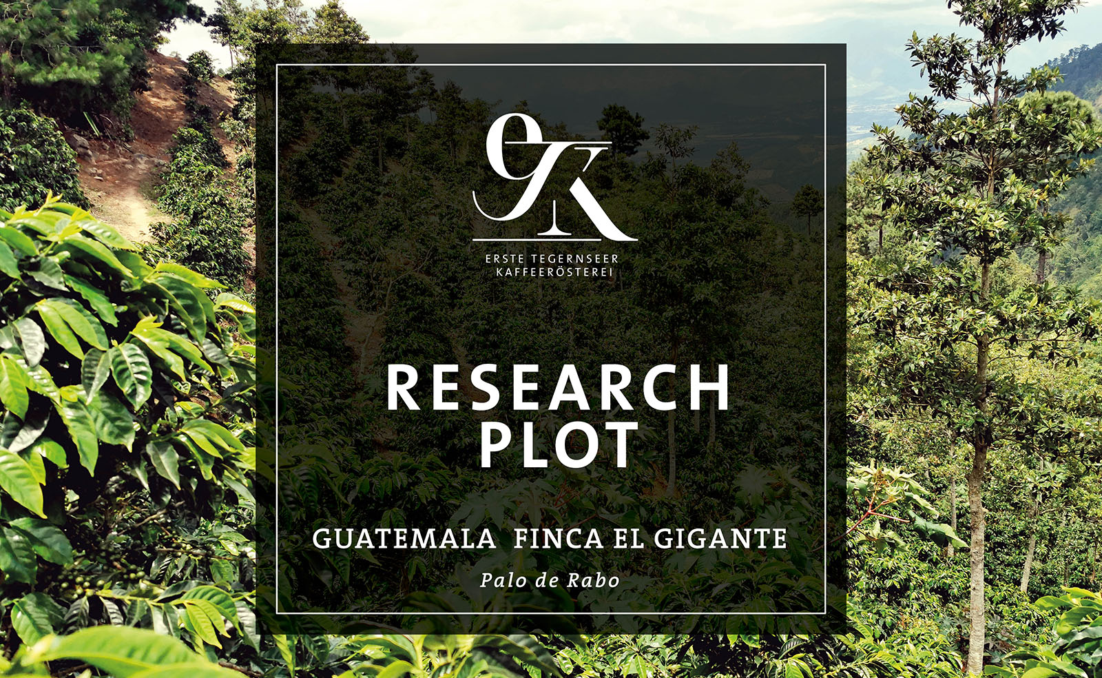 200x100_Research_Plot_Guatemala_Schild