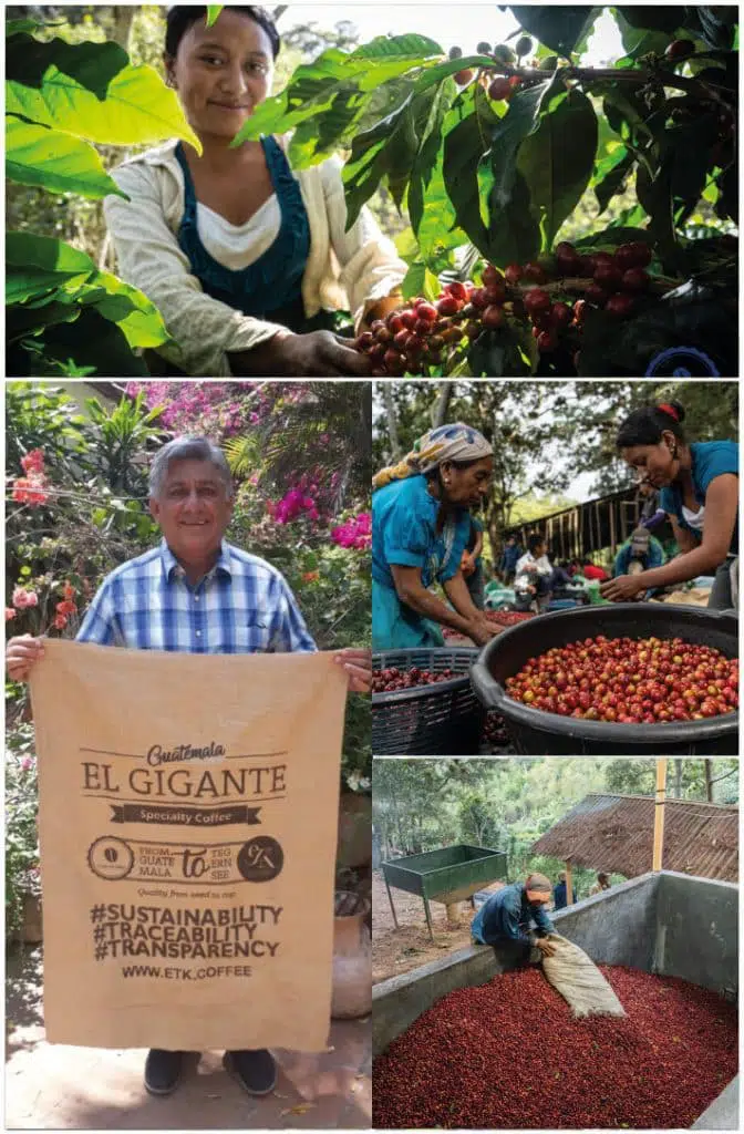 Research_Plot_Guatemala_01