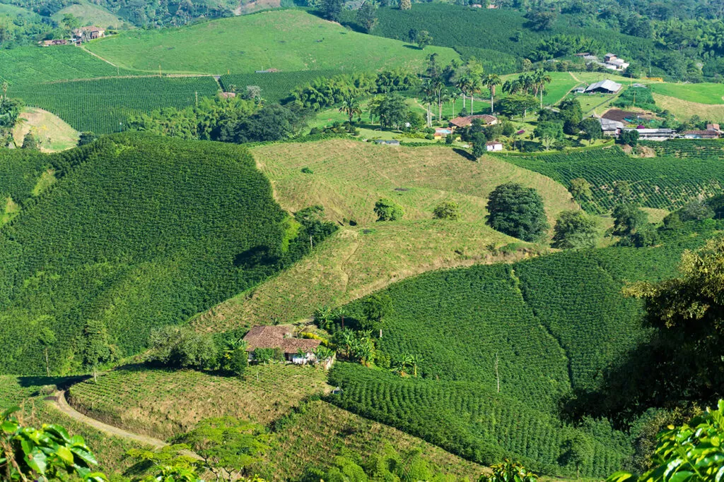 Kaffee aus Südamerika- Kolumbien
