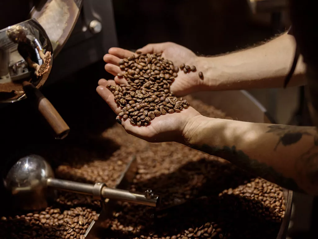 hochwertiger kaffee online kaufen