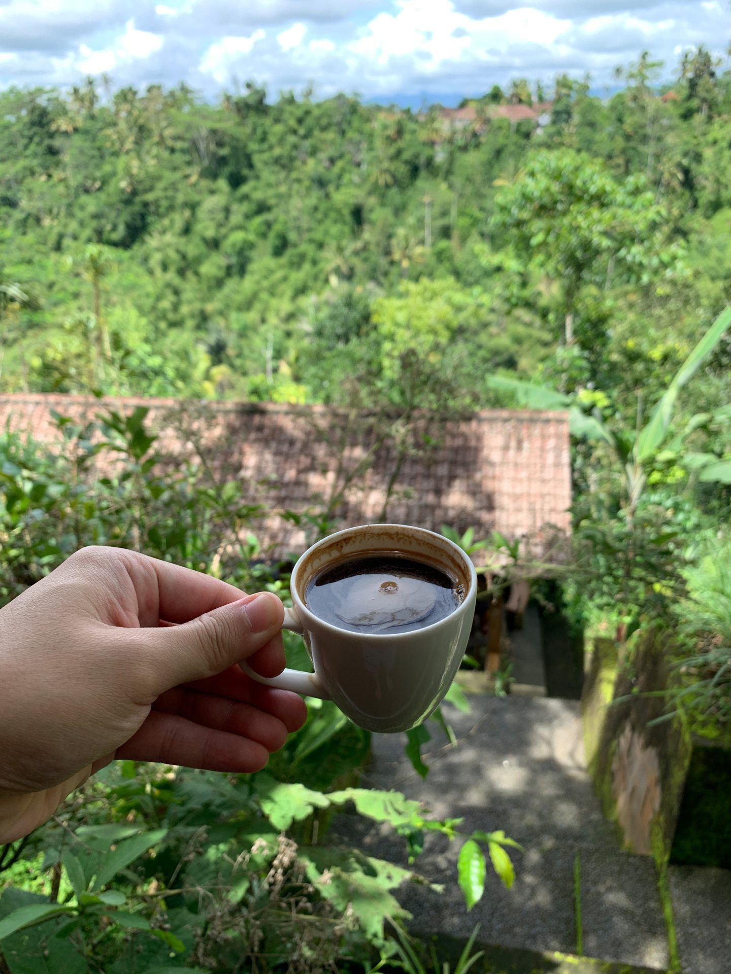 Kaffee aus Indonesien