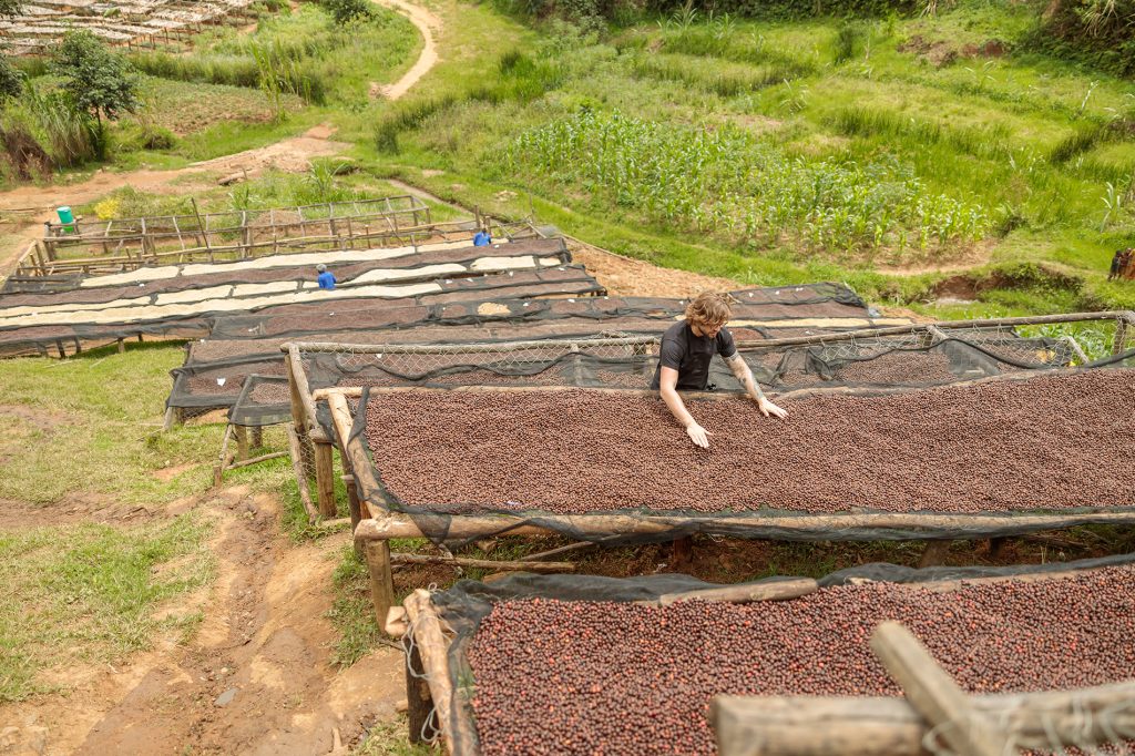 anaerobe Fermentation